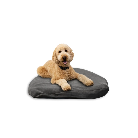 Klymit Moon Dog Bed, L
